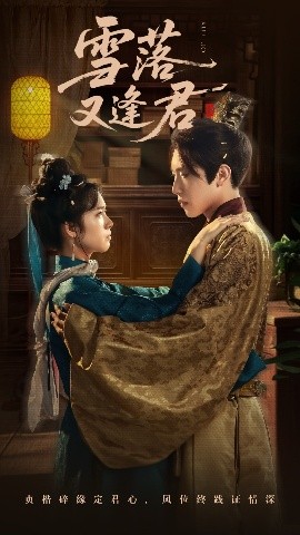 短剧《雪落又逢君（78集）陈柯宇＆杨映真 (2025)》全集免费在线观看-第1张图片-力界网