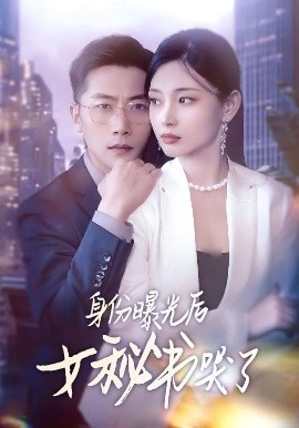 短剧《身份曝光后女秘书哭了（31集）刘雪君&张家川 (2025)》全集免费在线观看-第1张图片-力界网
