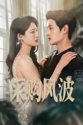 短剧《采购风波（45集）刘方为&王熳熳 (2025)》全集免费在线观看-第1张图片-力界网