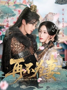 短剧《再不为妻（60集）刘育同&杨云绚 (2025)》全集免费在线观看-第1张图片-力界网