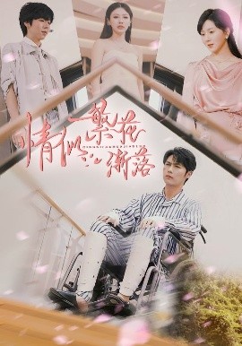 短剧《情似繁花渐落（62集）李明源&顾沅真 (2025)》全集免费在线观看-第1张图片-力界网