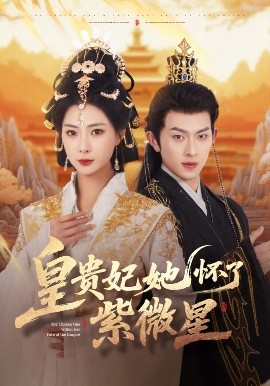 短剧《皇贵妃她怀了紫薇星（80集）陈添祥&杨瑾羽 (2025)》全集免费在线观看-第1张图片-力界网