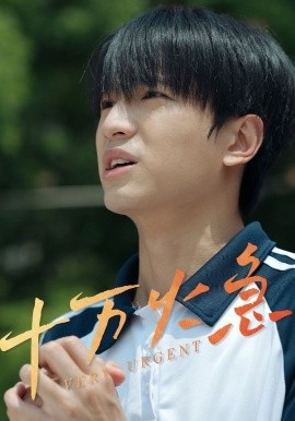 短剧《十万火急（30集）(2025)》全集免费在线观看-第1张图片-力界网