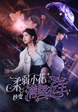 短剧《柔弱小花秒变满级女王（83集）曹景皓＆李芊乐 (2025)》全集免费在线观看-第1张图片-力界网