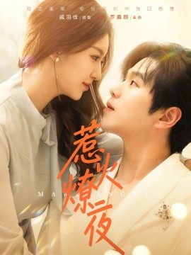 短剧《惹火燎夜（74集）罗嘉麒＆戚羽佳 (2025)》全集免费在线观看-第1张图片-力界网
