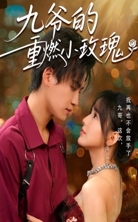 短剧《九爷的重燃小玫瑰（67集）罗琼&张洪鸣 (2025)》全集免费在线观看-第1张图片-力界网