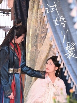 短剧《试婚丫鬟（76集）王小明＆伍昕宇 (2025)》全集免费在线观看-第1张图片-力界网