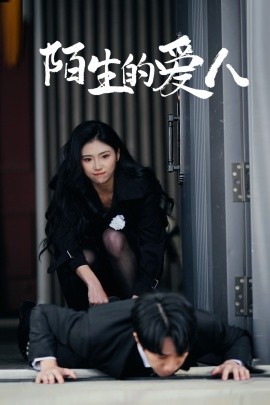 短剧《陌生的爱人（60集）骆虹宇 (2025)》全集免费在线观看-第1张图片-力界网