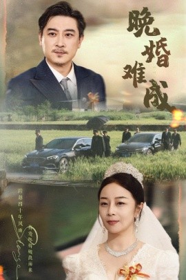 短剧《晚婚难成（60集）孔智盈&路思奇 (2025)》全集免费在线观看-第1张图片-力界网