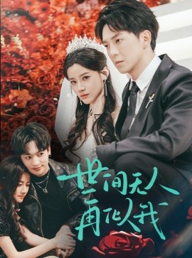 短剧《世间无人再似我（32集）贡兴＆游雅 (2025)》全集免费在线观看-第1张图片-力界网