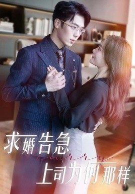 短剧《求婚告急上司为何那样（70集）孟璐&卡戎 (2025)》全集免费在线观看-第1张图片-力界网