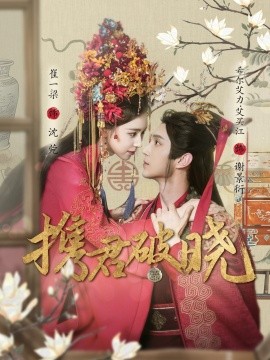短剧《携君破晓（77集）希尔力＆崔一梁 (2025)》全集免费在线观看-第1张图片-力界网