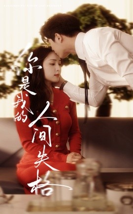 短剧《你是我的人间失格（60集）左铭＆宋彧佳 (2025)》全集免费在线观看-第1张图片-力界网