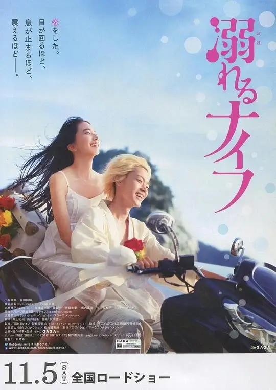 溺水小刀 (2016)高清蓝光4k免费在线观看-第1张图片-力界网