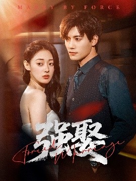 短剧《强娶（80集）郑文岩＆汤震 (2025)》全集免费在线观看-第1张图片-力界网