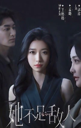 短剧《她不是敌人 (连载中) 王格格&孟璐 (2025)》全集免费在线观看-第1张图片-力界网