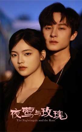 短剧《夜莺与玫瑰（60集）聂杨＆江炘 (2025)》全集免费在线观看-第1张图片-力界网