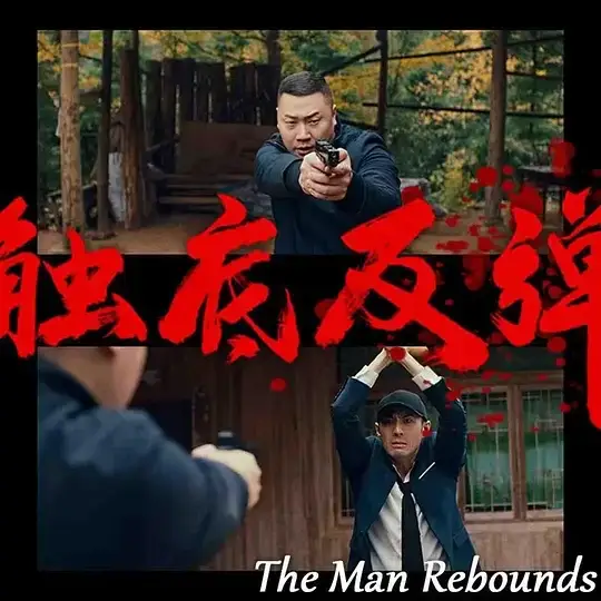 触底反弹 (2024)高清蓝光4k免费在线观看-第1张图片-力界网