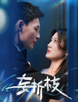 短剧《妄折枝（53集）冯铭潮＆杨珊子 (2025)》全集免费在线观看-第1张图片-力界网