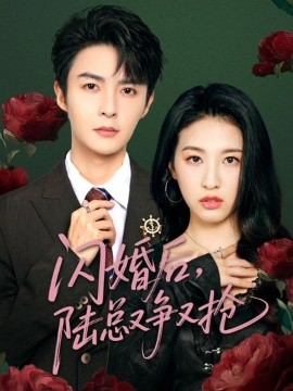 短剧《闪婚后，陆总又争又抢（83集）管栎&杜雨宸 (2025)》全集免费在线观看-第1张图片-力界网