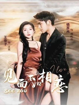 短剧《见面不如相恋（71集）杨彦光＆王幸子 (2025)》全集免费在线观看-第1张图片-力界网