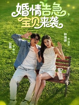 短剧《婚情告急宝贝来袭（77集）张磊&林琦婷 (2025)》全集免费在线观看-第1张图片-力界网