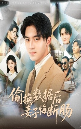 短剧《偷换数据后妻子悔断肠（63集）王言睿&吴帆 (2025)》全集免费在线观看 -第1张图片-力界网