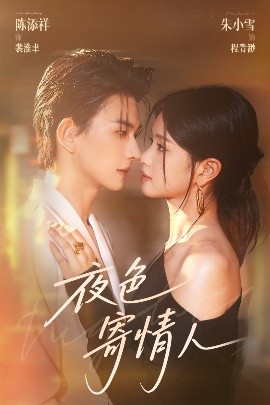 短剧《夜色寄情人（108集）陈添祥&朱小雪 (2025)》全集免费在线观看 -第1张图片-力界网