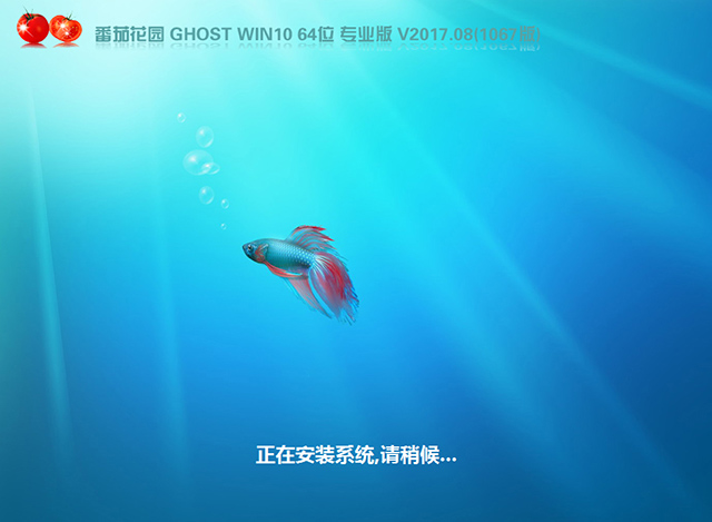 番茄花园GHOST WIN10 64位 专业版 V2017.08(免激活)-第1张图片-力界网 番茄花园GHOST WIN10 64位 专业版 V2017.08(免激活)-第1张图片-力界网