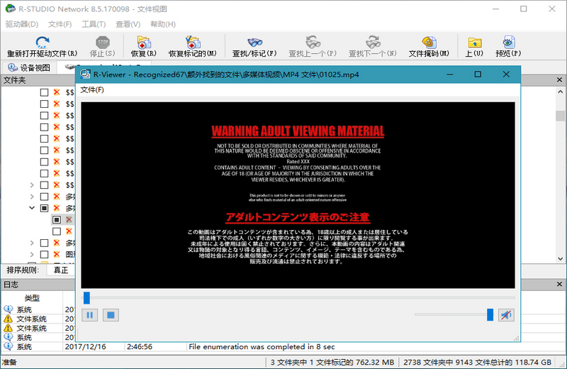 R-Studio v9.5.191810 数据恢复软件中文绿色便携特别版-第3张图片-力界网