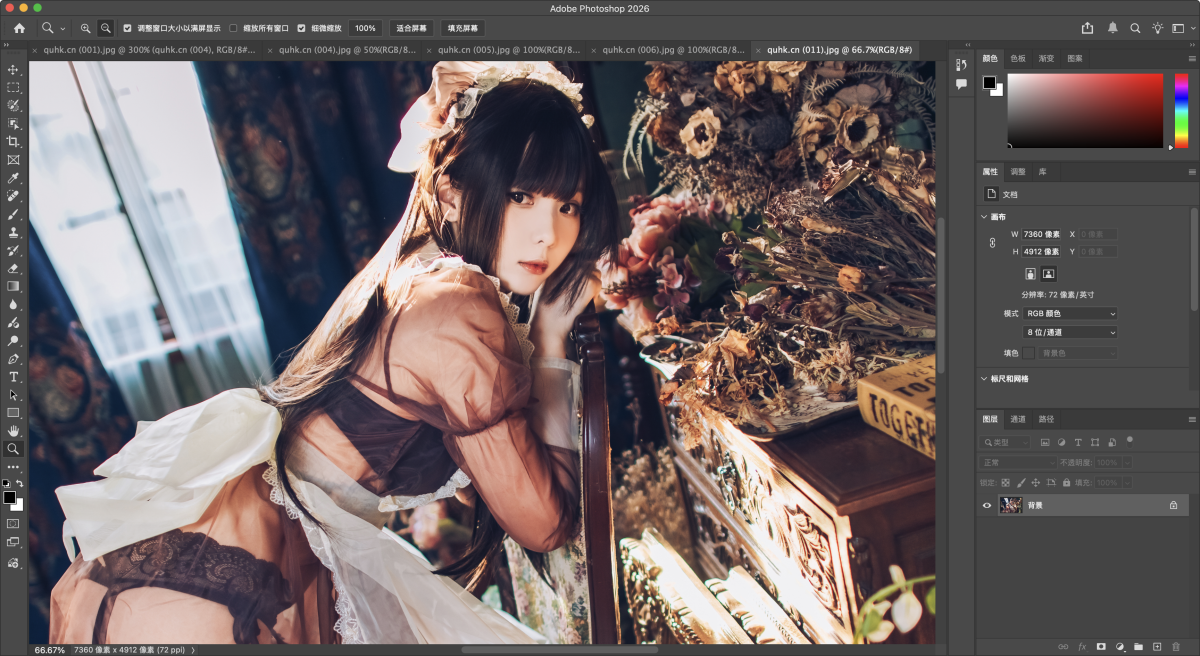 Adobe Photoshop 2026 Mac版 PS工具 27.3.1-第8张图片-力界网