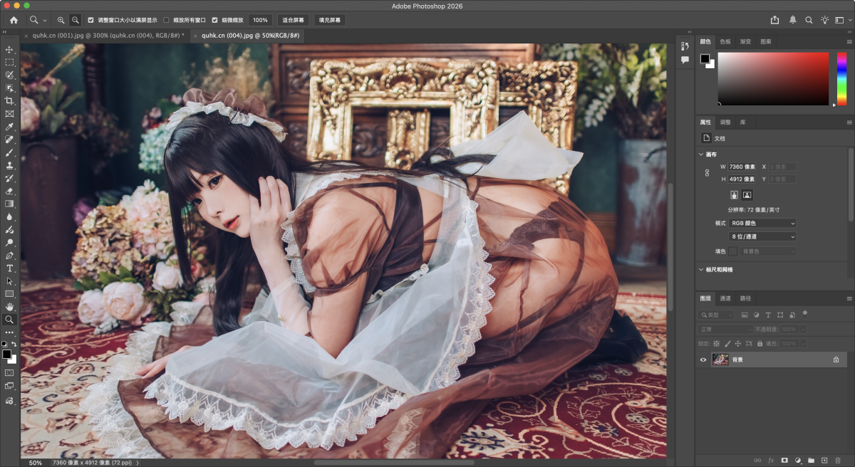 Adobe Photoshop 2026 Mac版 PS工具 27.3.1-第11张图片-力界网