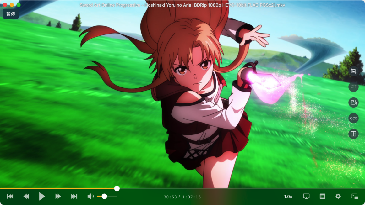 OmniPlayer Pro For Mac版 万能视频播放器-第4张图片-力界网