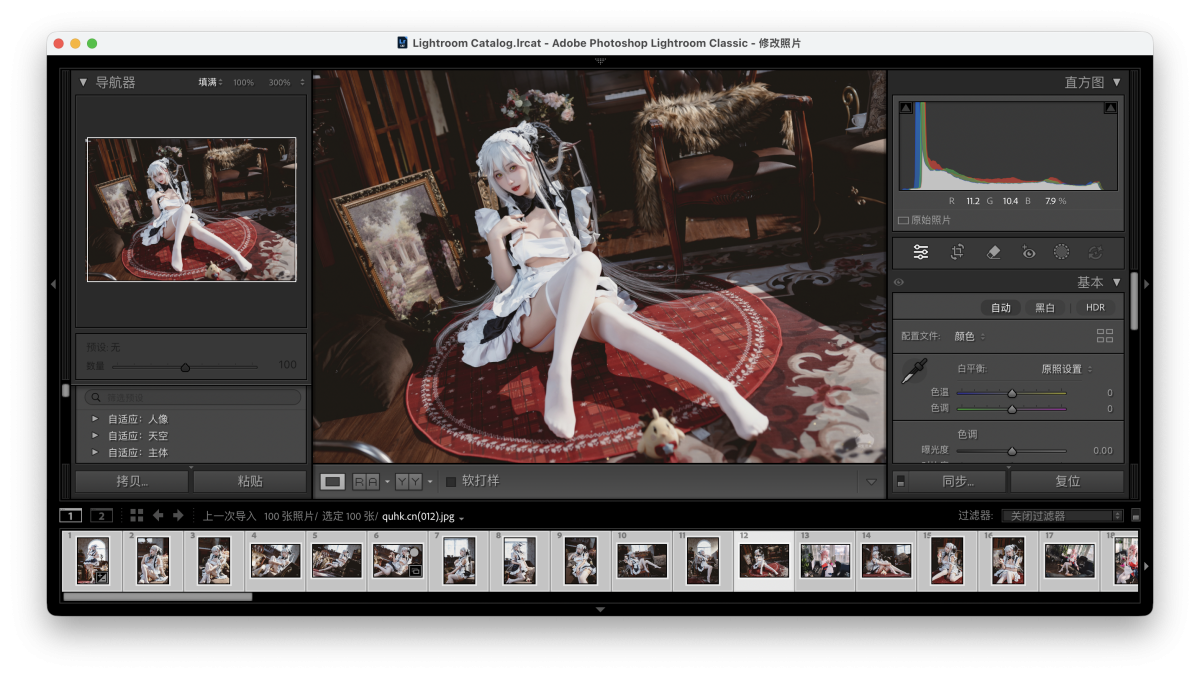 Adobe Lightroom Classic 2026 Mac版 图像照片处理工具-第7张图片-力界网