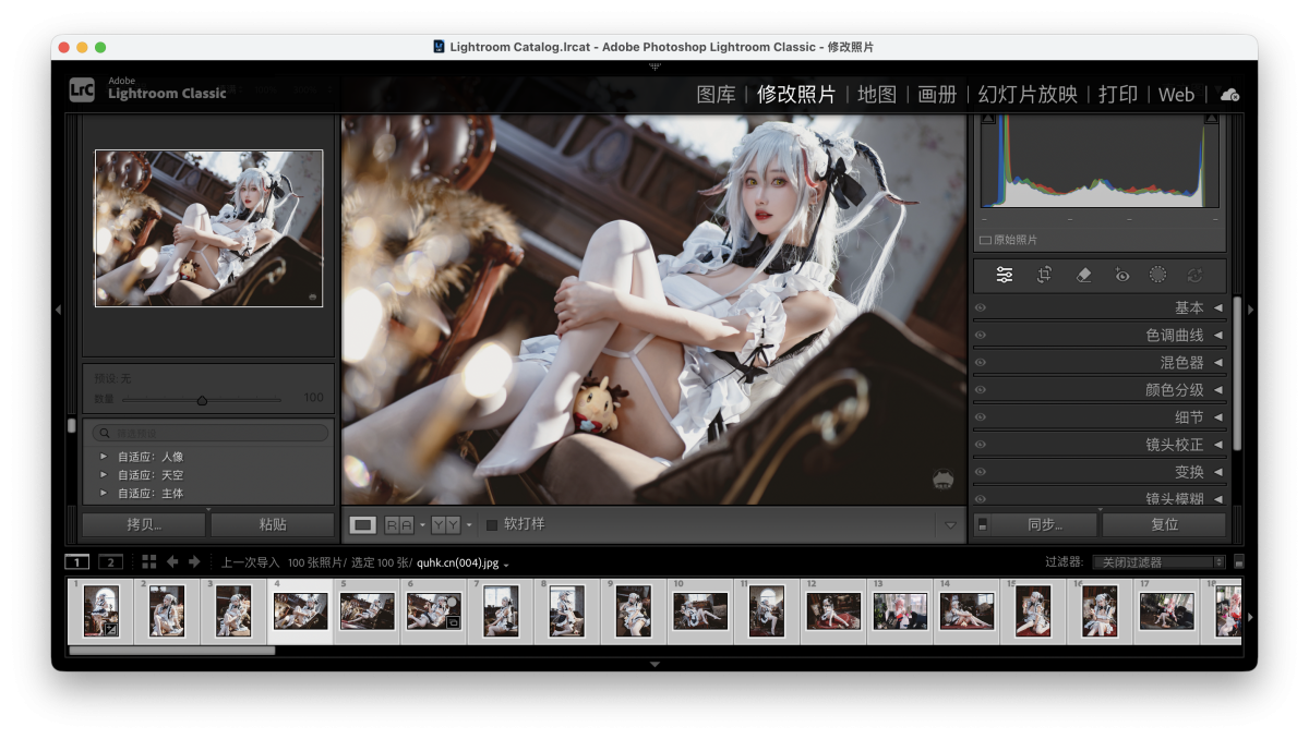 Adobe Lightroom Classic 2026 Mac版 图像照片处理工具-第8张图片-力界网