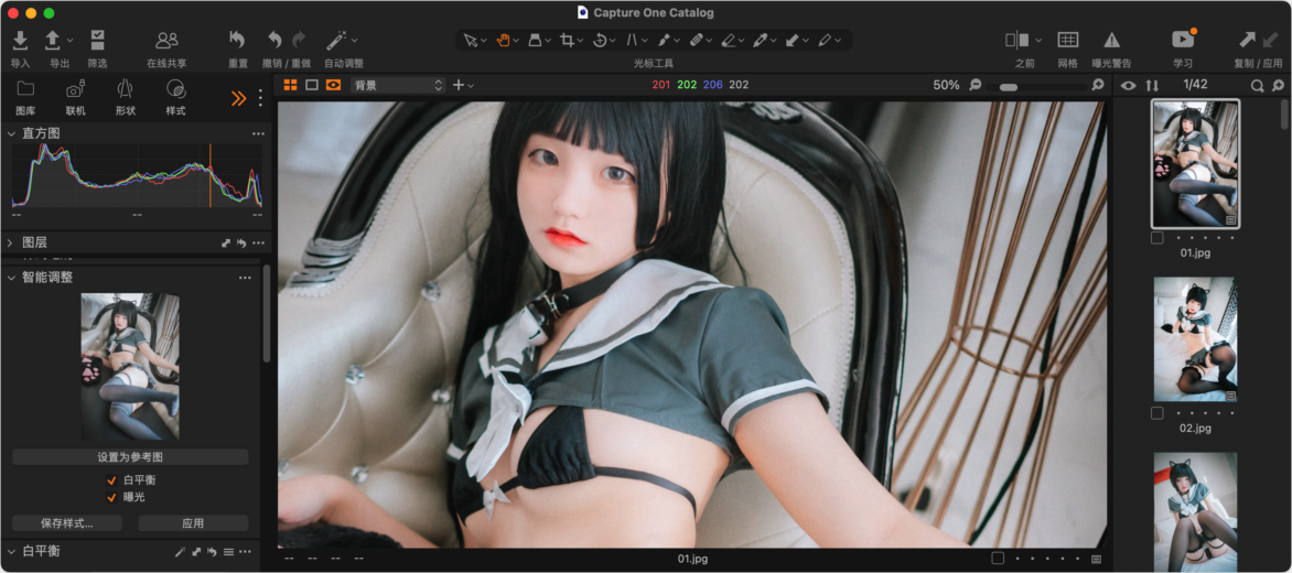 Capture One Pro Mac版 图像后期处理工具-第3张图片-力界网