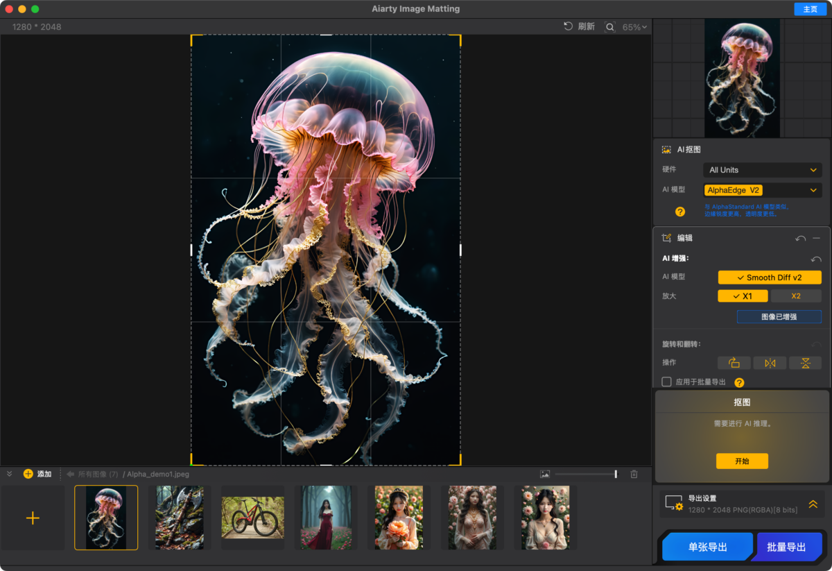Aiarty Image Matting 超强 AI 抠图神器 放大神器-第4张图片-力界网
