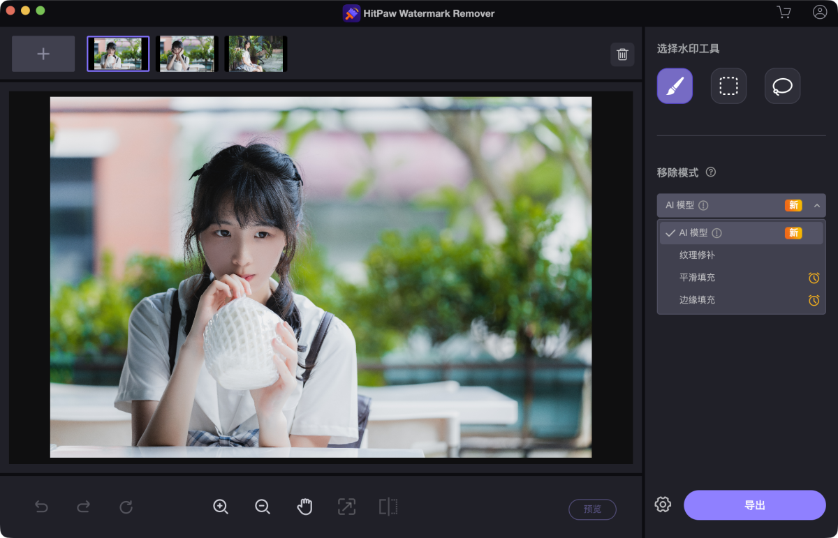 HitPaw Watermark Remover 一键去视频水印/图片水印-第3张图片-力界网