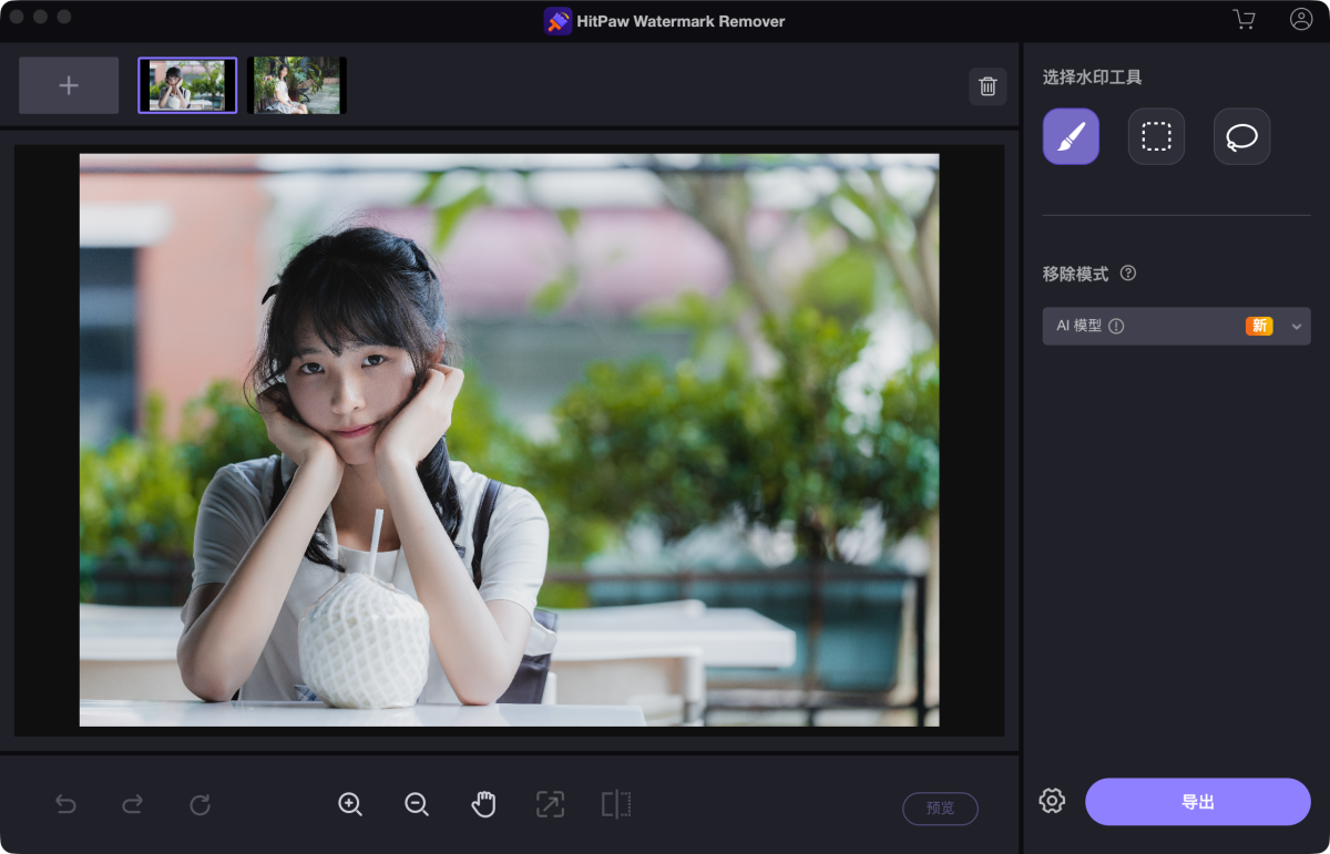 HitPaw Watermark Remover 一键去视频水印/图片水印-第4张图片-力界网
