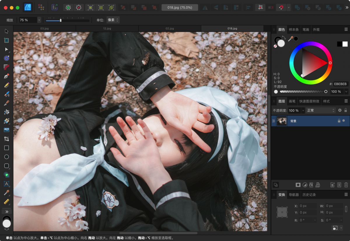Affinity Designer Mac版  矢量图形设计工具-第8张图片-力界网