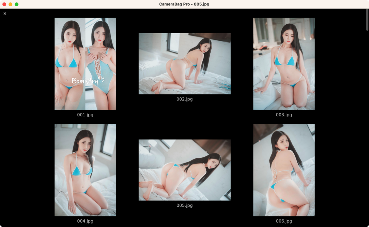 CameraBag Pro 2026 照片后期调色处理工具-第2张图片-力界网
