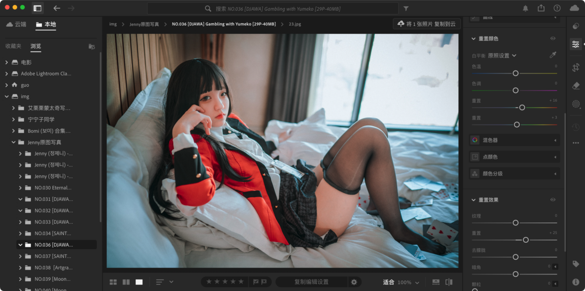 Adobe Lightroom Classic 2025 14.3.1 ACR 17.3.1 LR图像处理-第3张图片-力界网