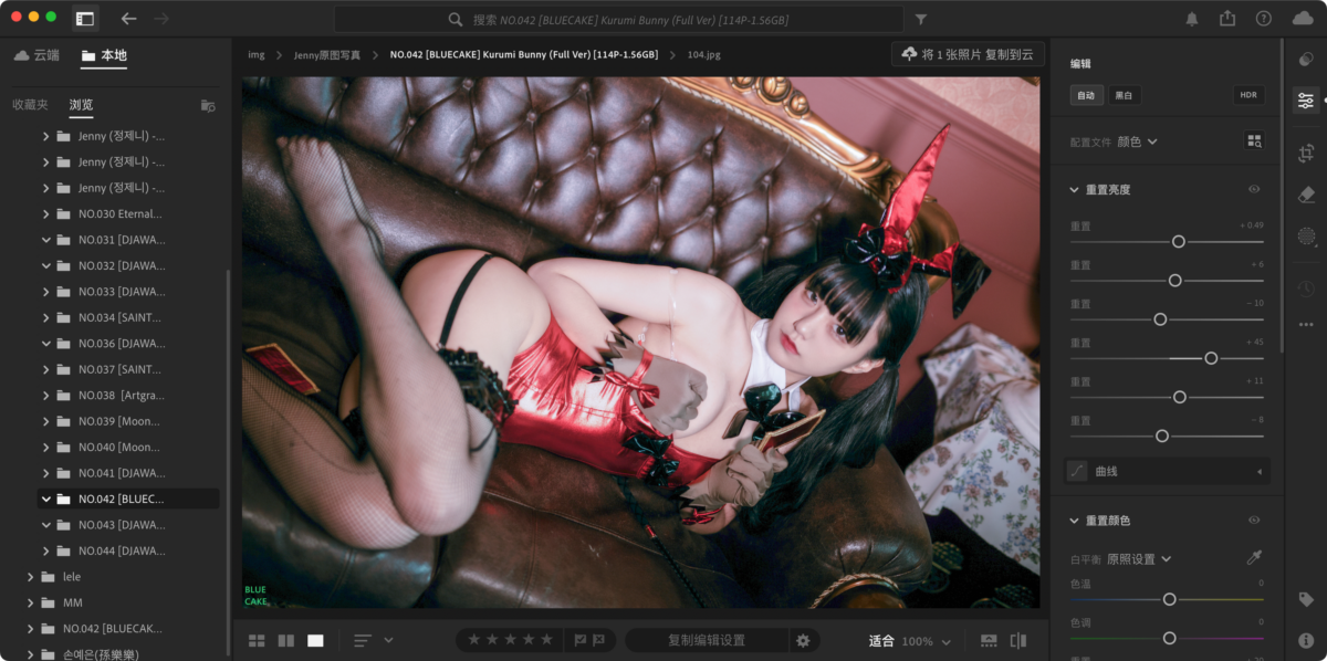 Adobe Lightroom Classic 2025 14.3.1 ACR 17.3.1 LR图像处理-第10张图片-力界网