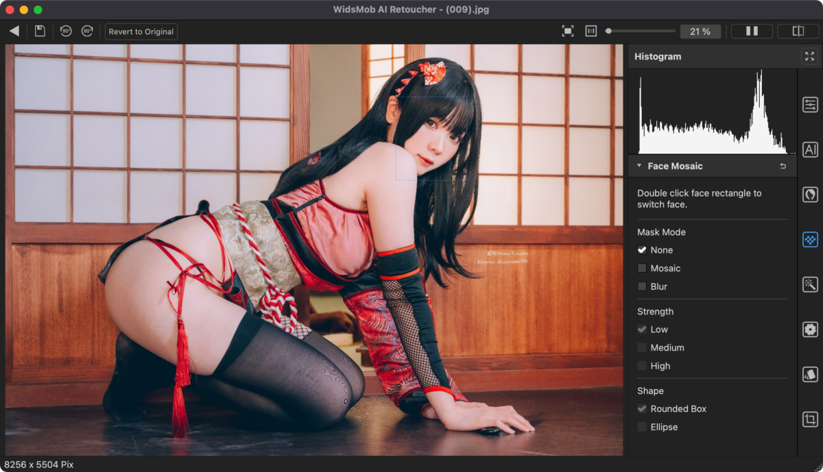 WidsMob Retoucher Mac版 后期照片一键调色-第4张图片-力界网