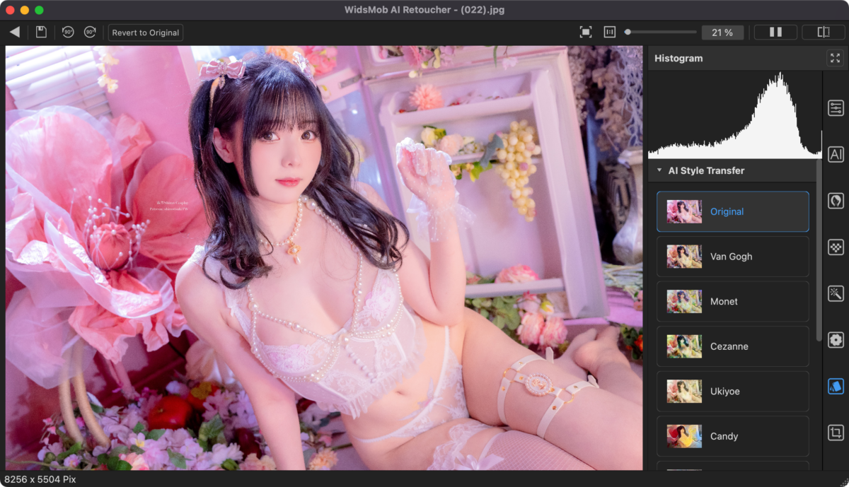 WidsMob Retoucher Mac版 后期照片一键调色-第8张图片-力界网