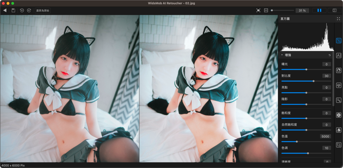 WidsMob Retoucher Mac版 后期照片一键调色-第11张图片-力界网