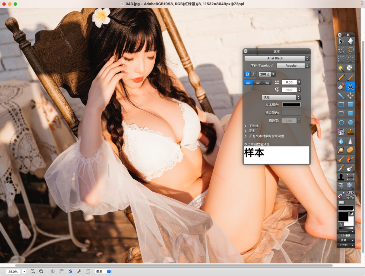 GraphicConverter 12 Mac版 图片批量转换 浏览 处理-第6张图片-力界网