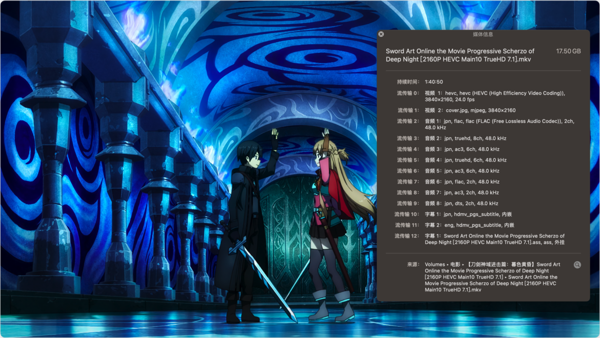Elmedia Player Mac版 视频播放器 免费的天花板-第7张图片-力界网