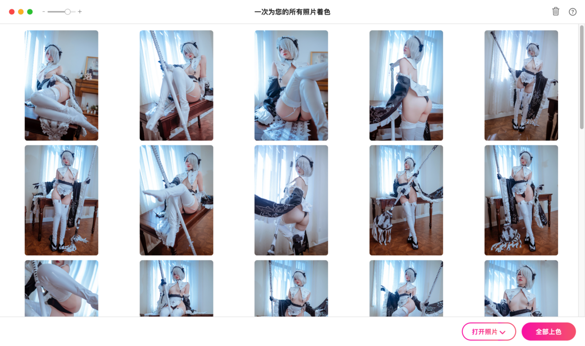 PhotosRevive Mac版 智能给黑白照片上色-第3张图片-力界网