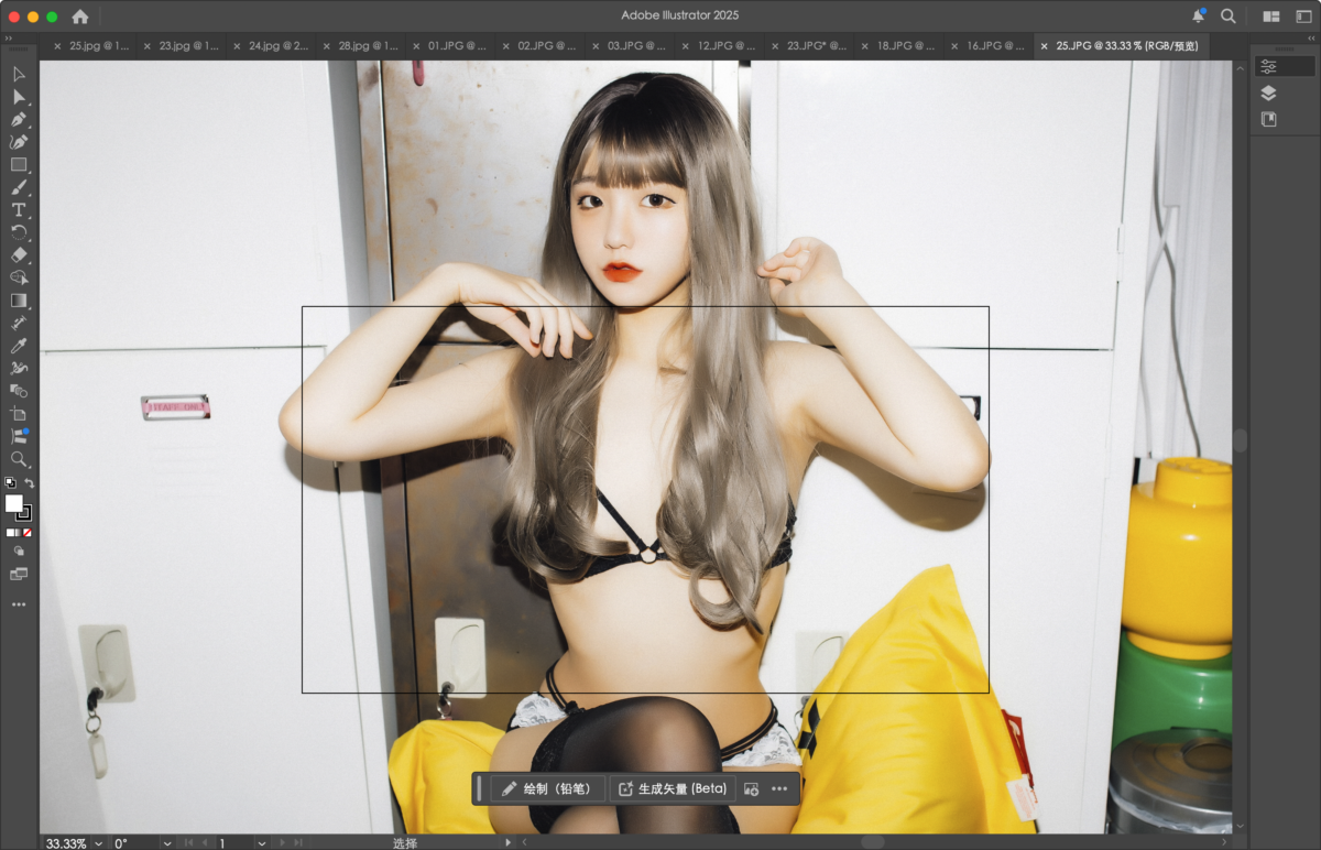 Adobe Illustrator 2025 Mac版 AI专业级的矢量图形设计软件-第3张图片-力界网